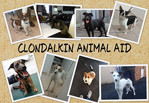 Clondalkin Animal Aid Image